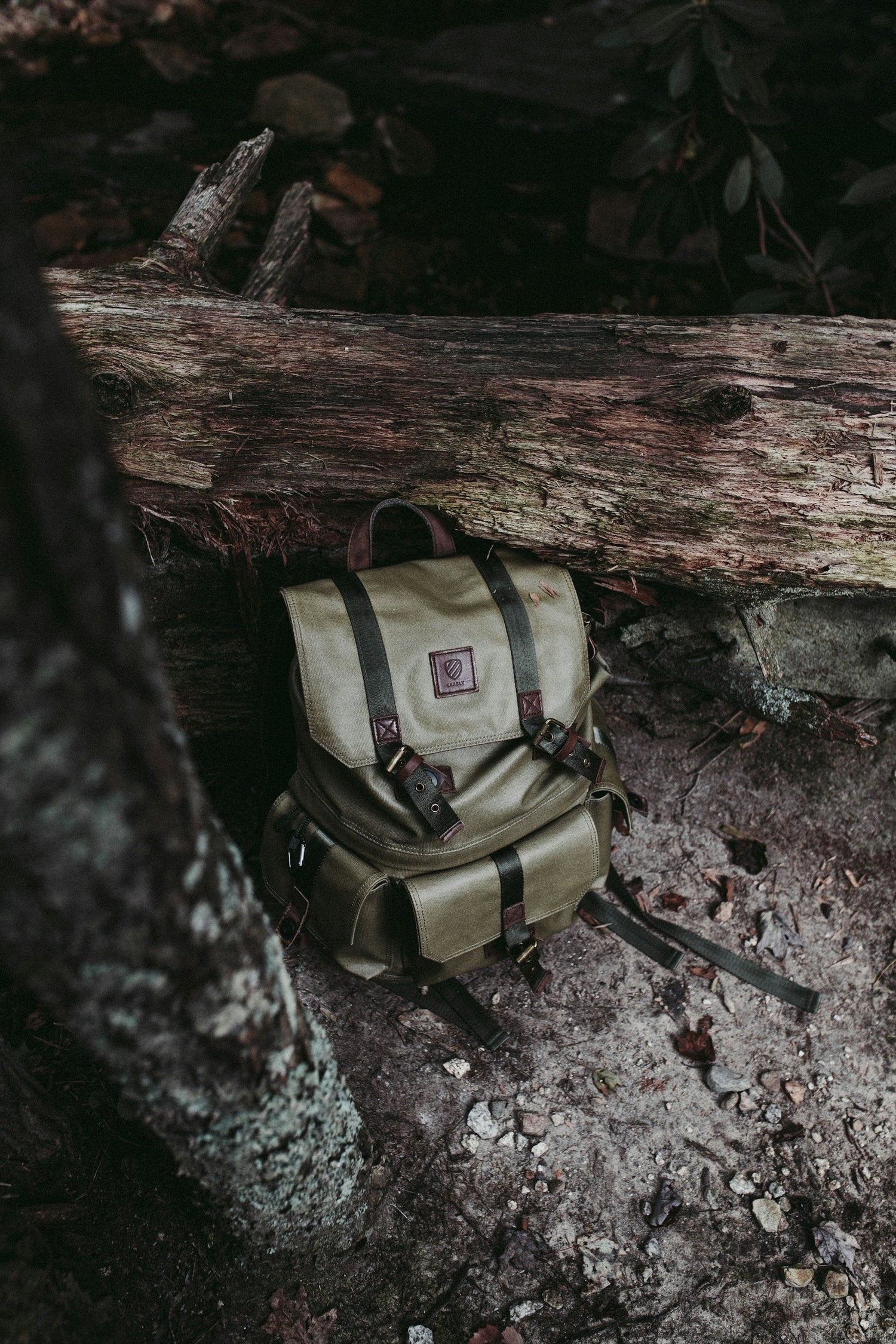 Backpacks & Walking Sticks
